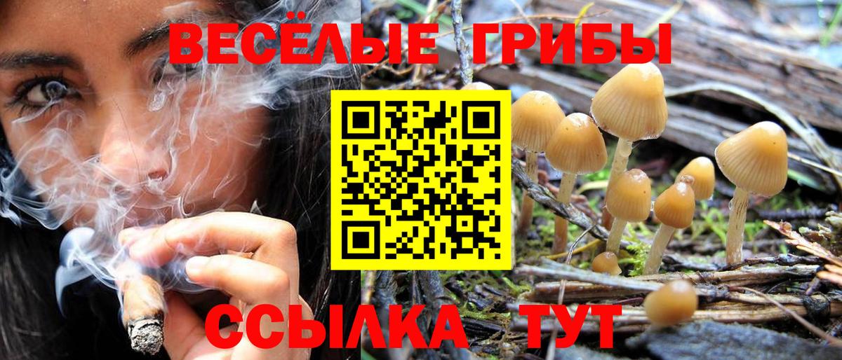 Псилоцибиновые грибы MAGIC MUSHROOMS  Вход с VPN  Заречный  Галлюциногенные грибы мицелий 