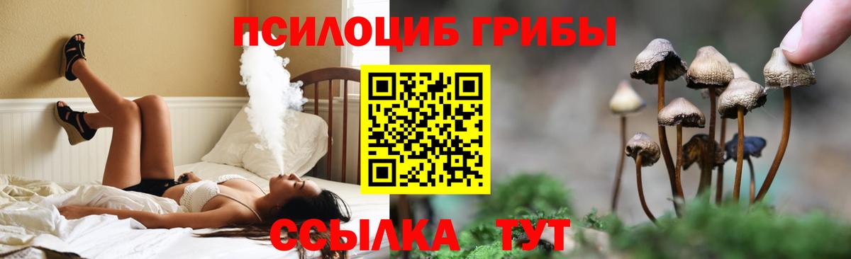 Галлюциногенные грибы прущие грибы Заречный