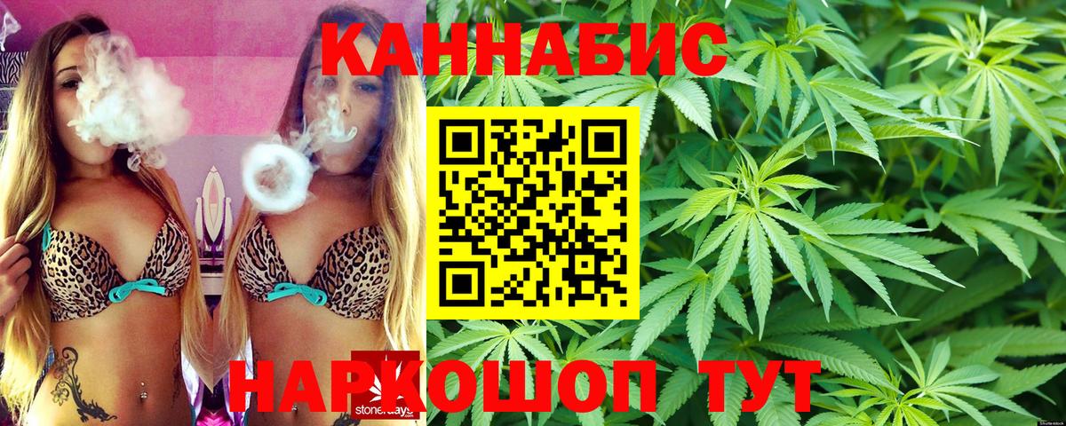 Конопля сатива Заречный